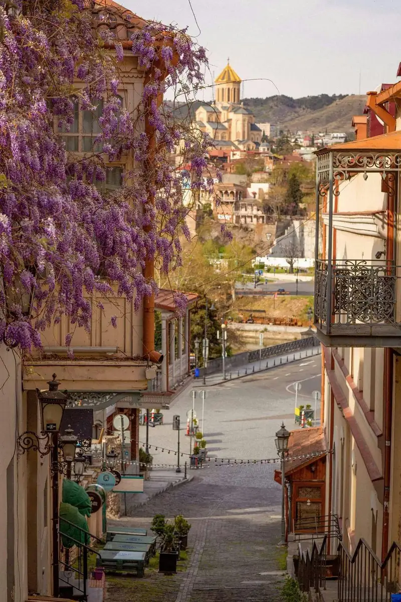 Tbilisi Wedding Halls: Where to Register Your Marriage and Their Unique Features